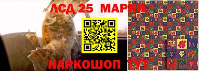 ALPHA PVP Гай