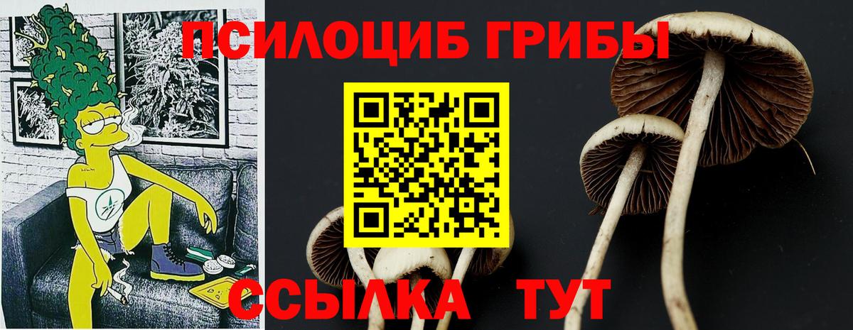 Псилоцибиновые грибы мицелий  Вход с VPN  Мирный 